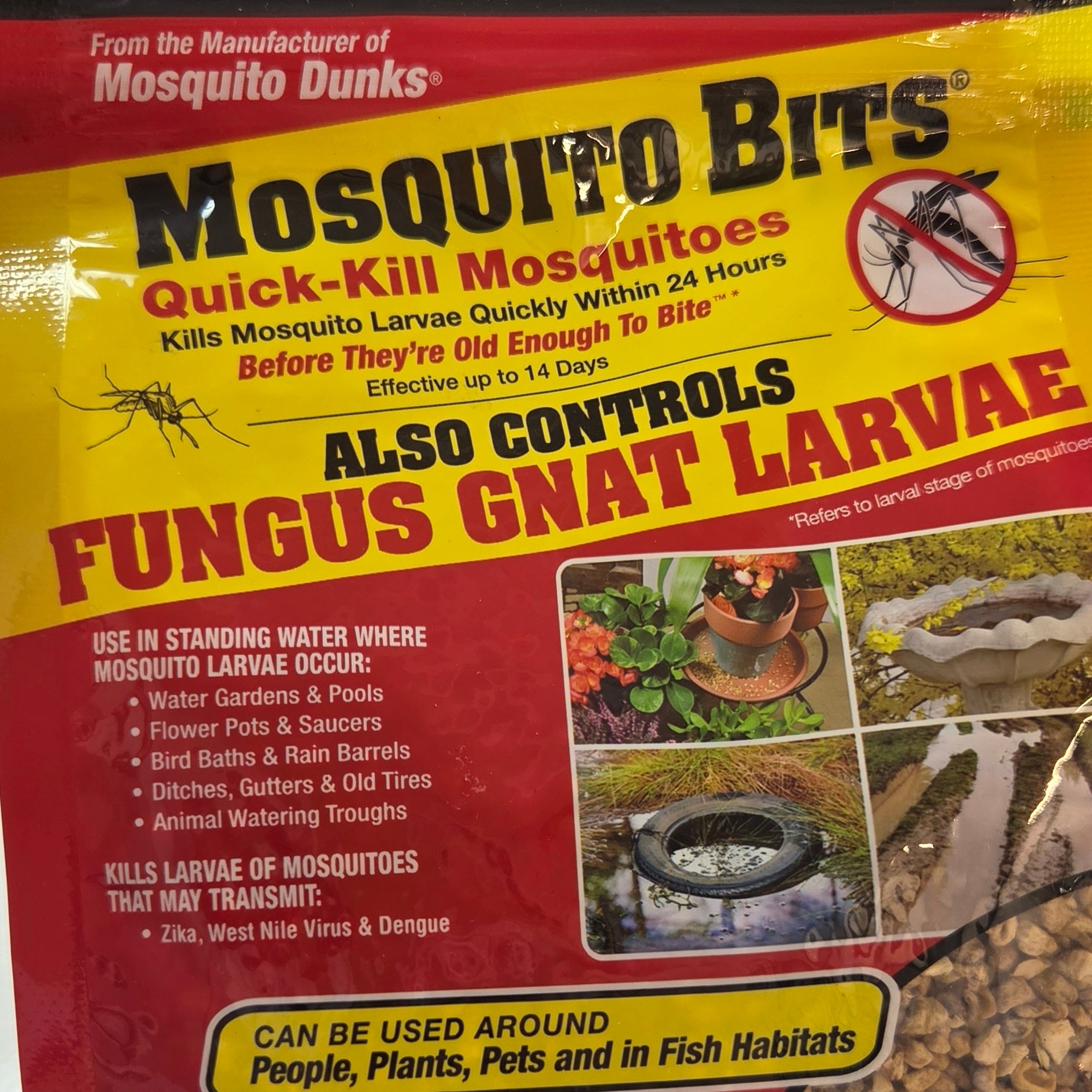 Mosquito Bits