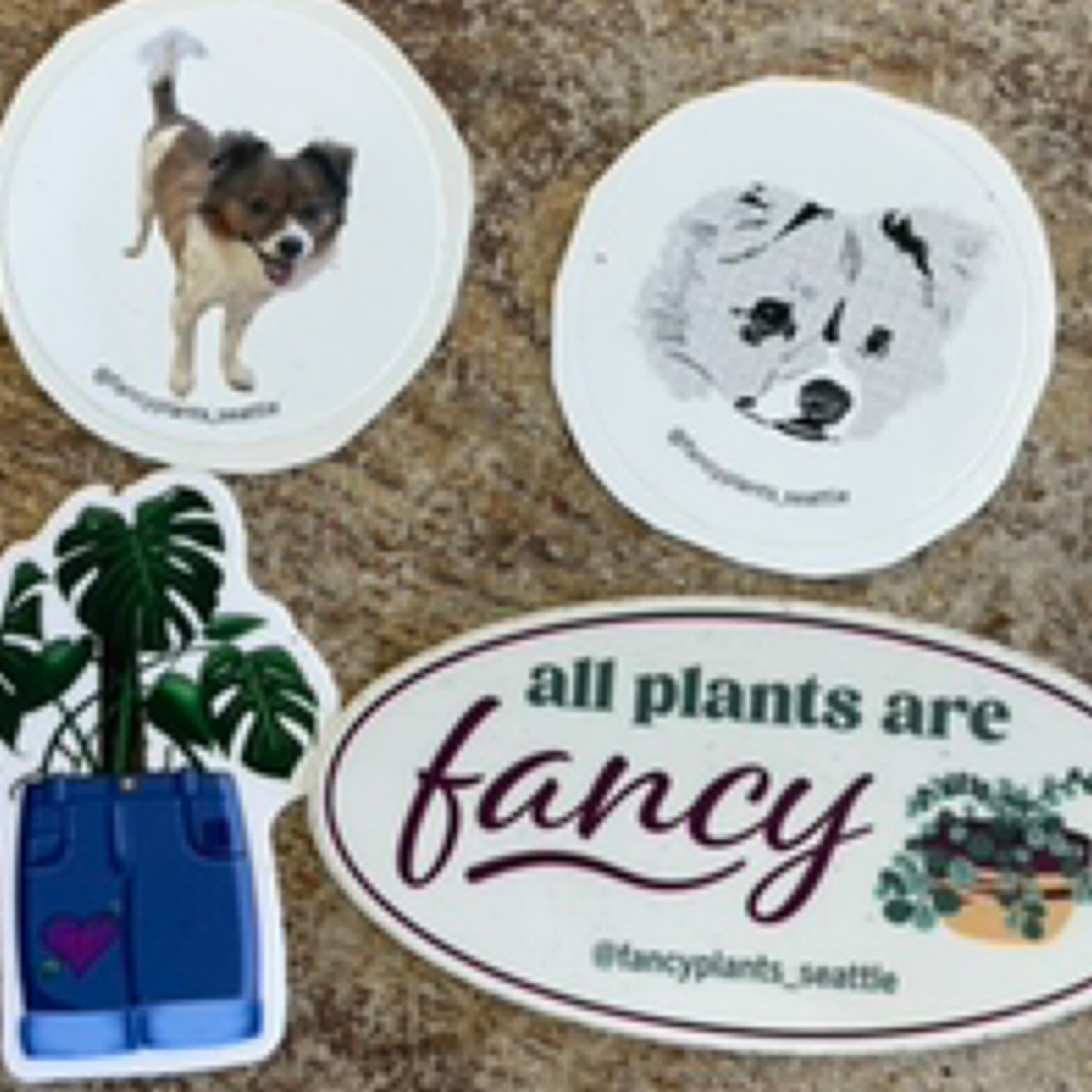 Fancy Plants Sticker