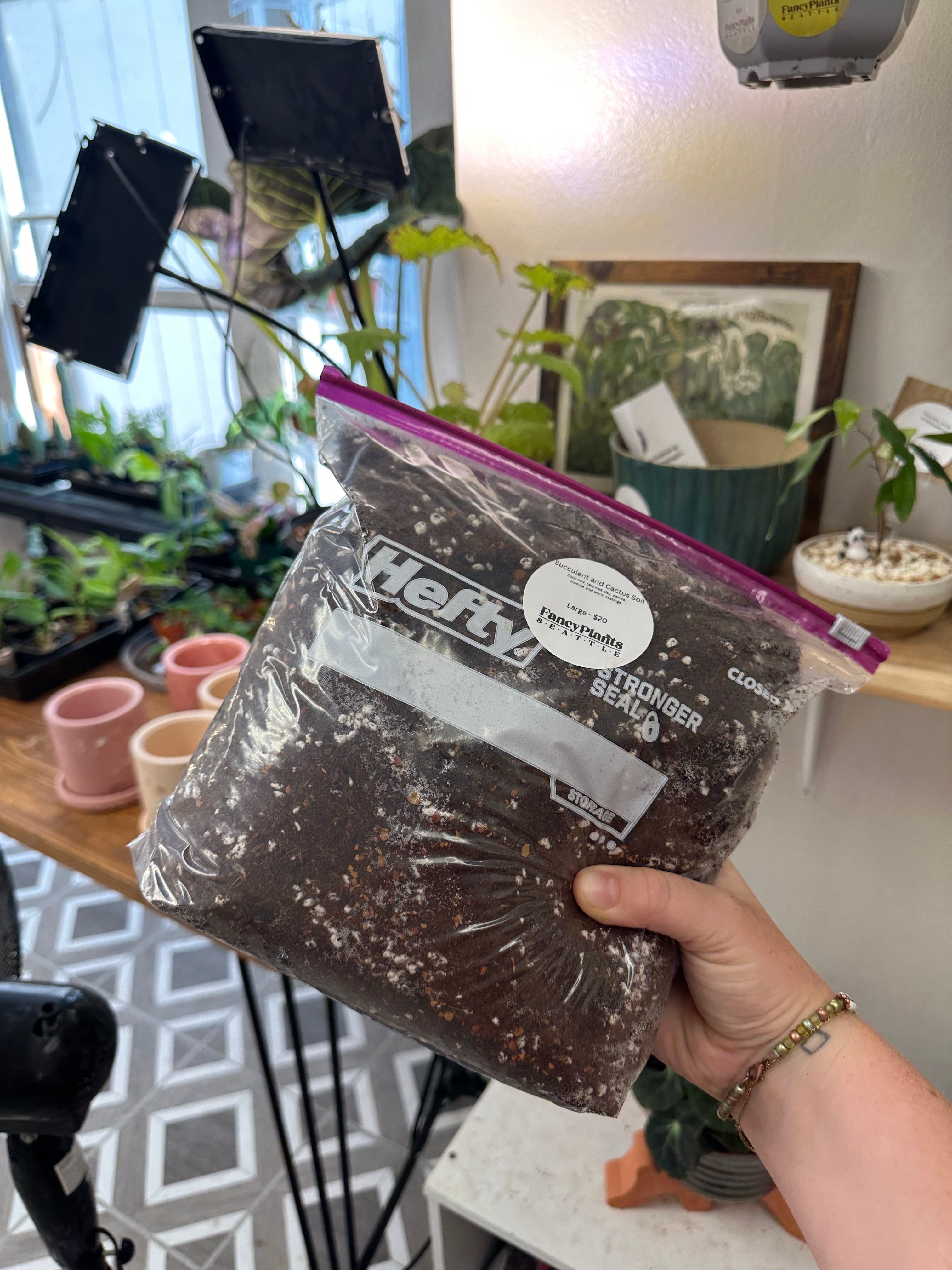 Succulent Soil Mix