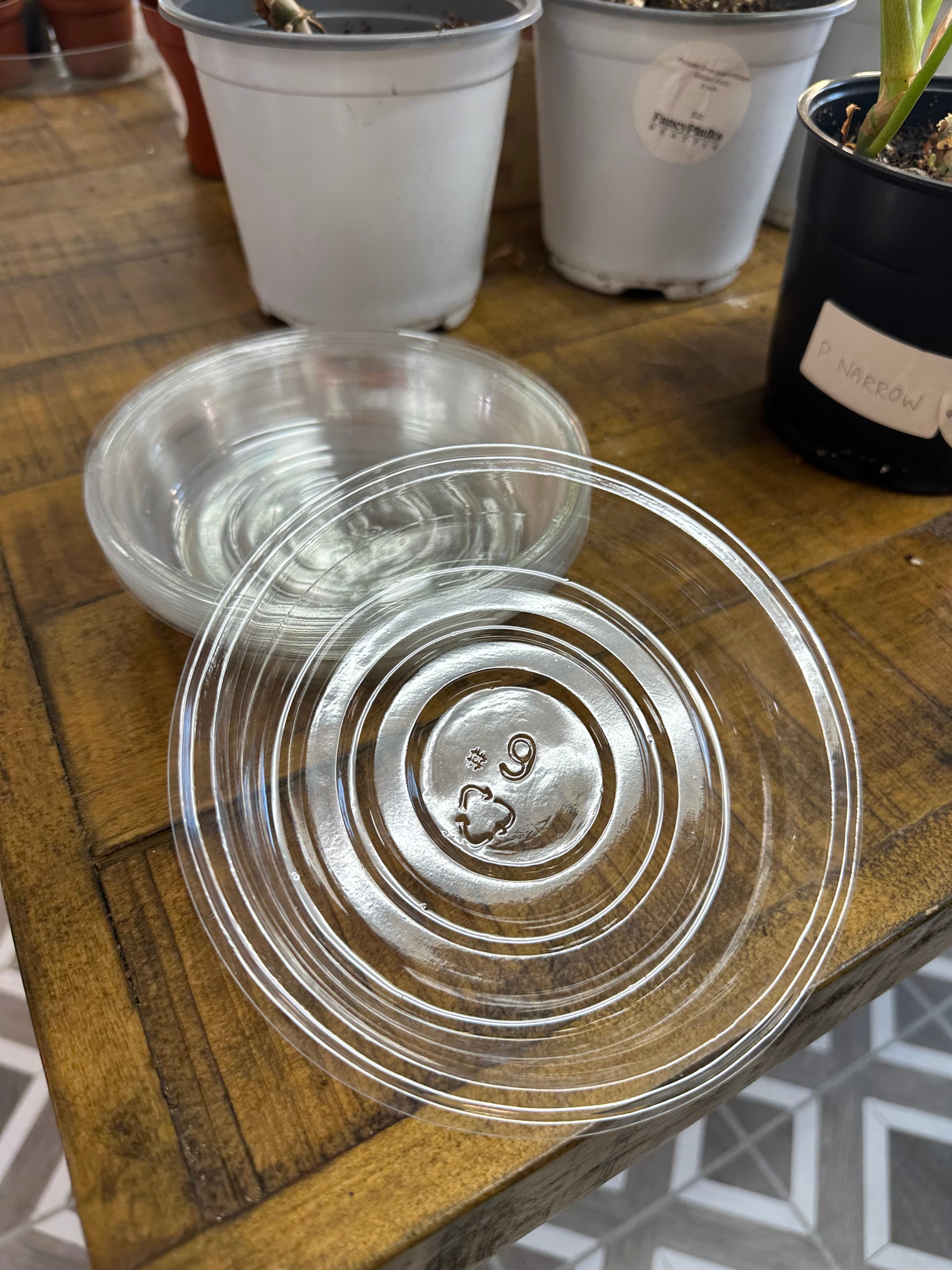 Plastic Nursery Tray